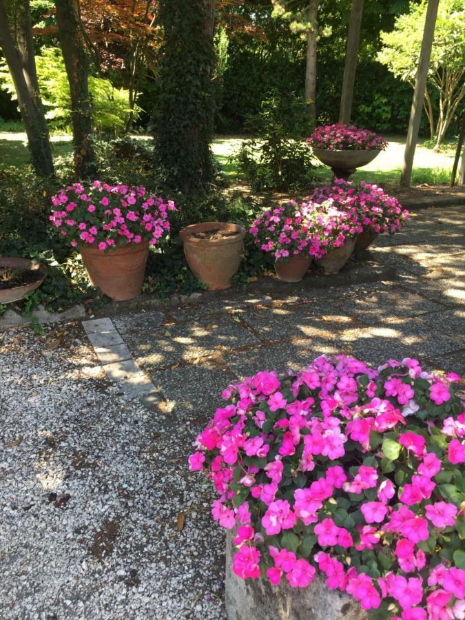 Corte Posta B&B - Parcheggio E Bagno In Camera 만토바 외부 사진